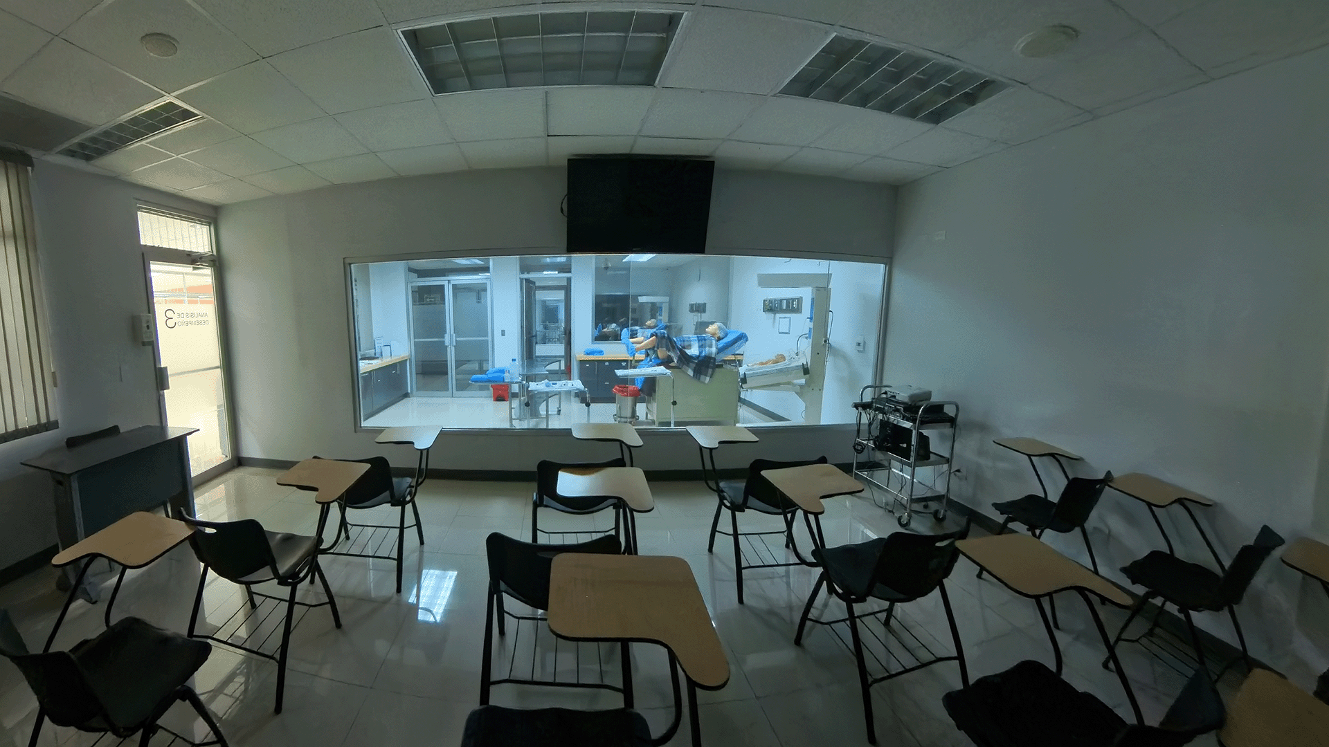 Galería imagen 4