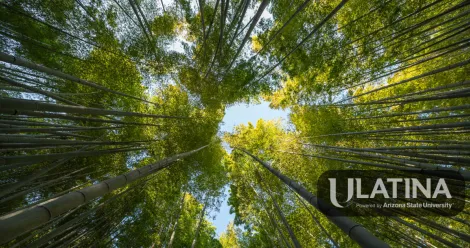 ¿Tu Título Valdrá a Nivel Mundial? Por Qué el Nuevo Logro de ULatina Asegura tu Futuro Profesional
