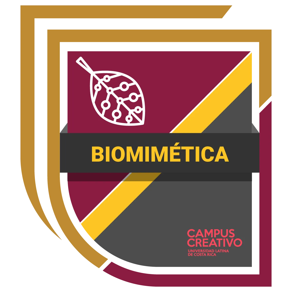 Dirigido a Estudiantes de Arquitectura + Diseño Interno INFO