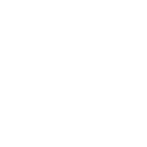 Detalles completos del equipo