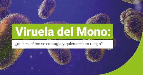Viruela del mono: ¿Qué es, cómo se contagia y quién está en riesgo?